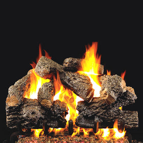 Model CHB-24 shown with G45 burner (Not Included)