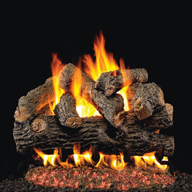 Model BD-24 shown with G45 burner (not included)