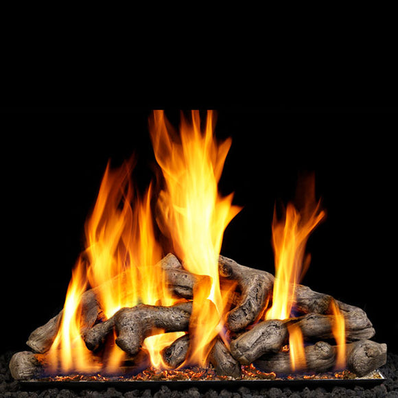 Model SDW-24 shown with P45 burner (not included)