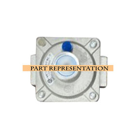 Lion Natural Gas (NG) Regulator - 37023
